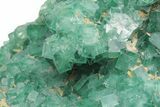 Green, Fluorescent, Cubic Fluorite Crystals - Madagascar #211076-3